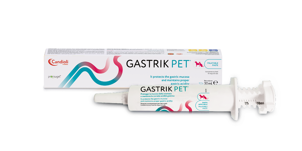 Gastrik Pet Pasta 30 Ml