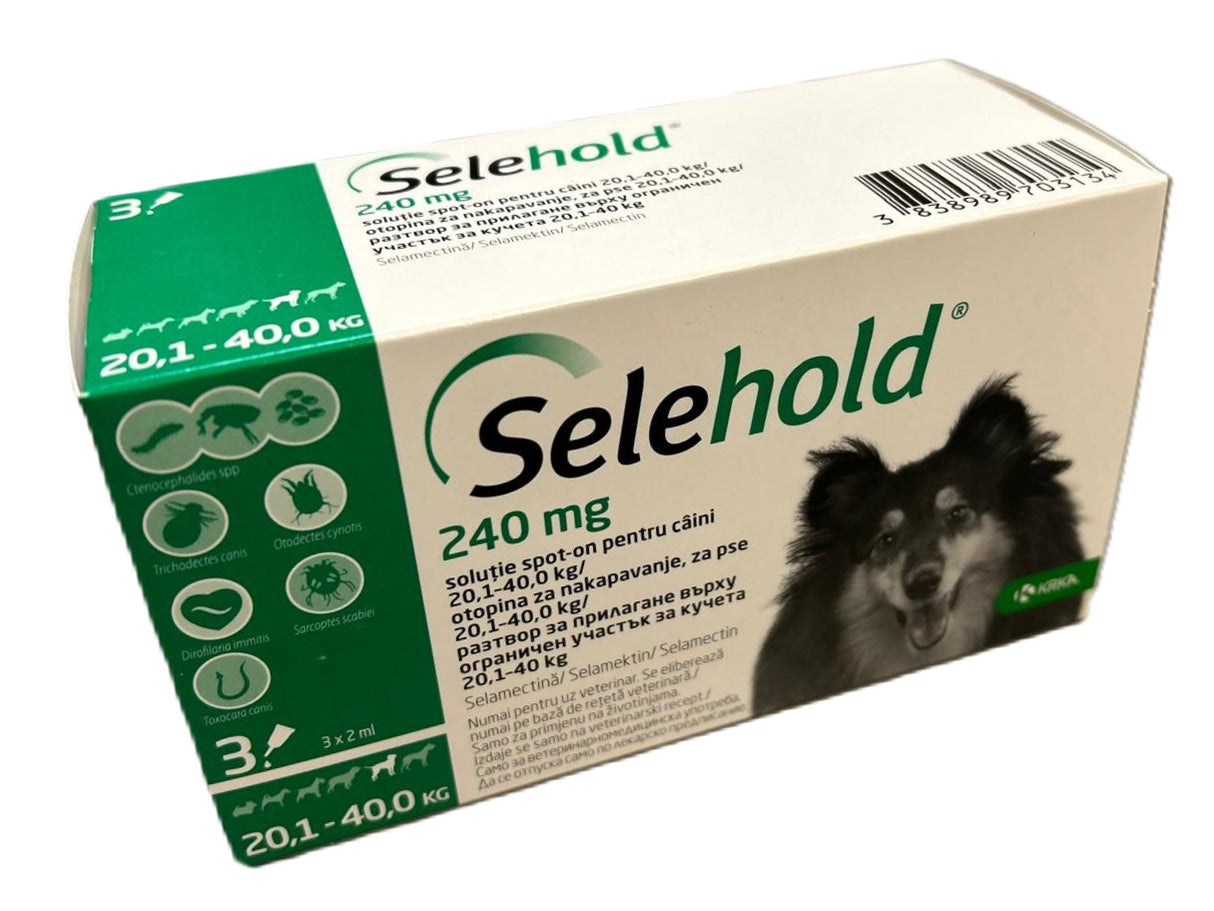 Selehold 240mg sol. caini 20,1-40kg