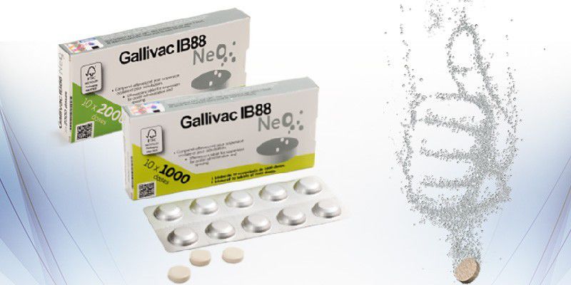 Gallivac IB 88 Neo 1000 Dz