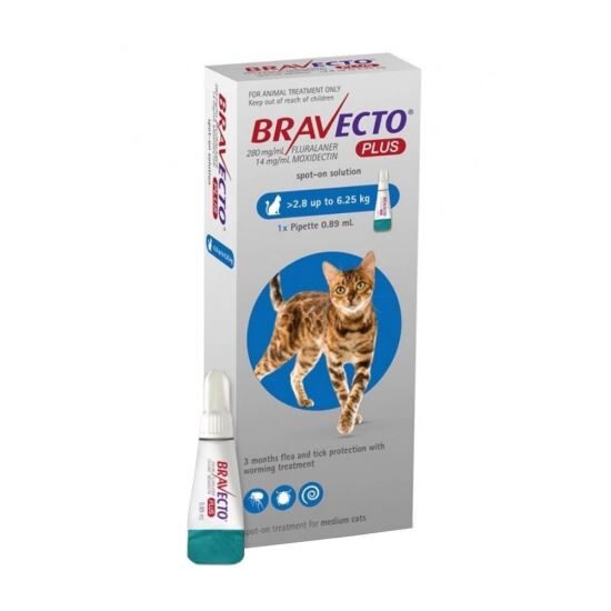 Bravecto Plus for Cat 250 Mg 1 Pipeta