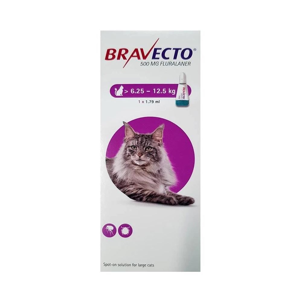 Bravecto Spot On Cat 500 Mg 1 Pipeta