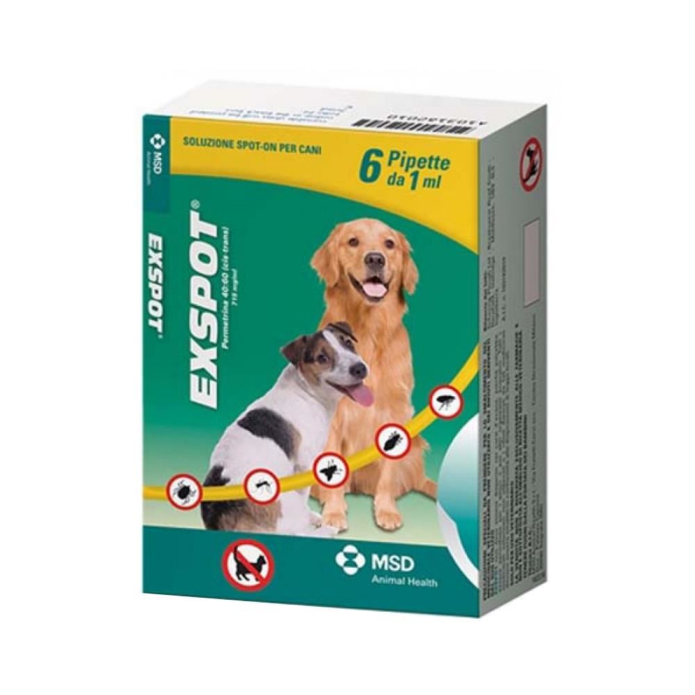 Exspot 1 Ml 6 Pipete