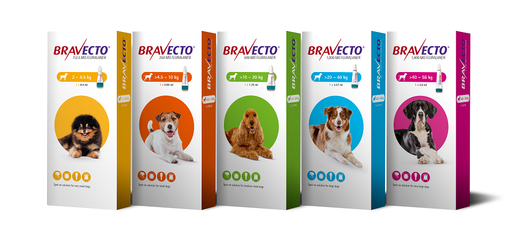 Bravecto Spot On Dog 1000 Mg 1 Pipeta