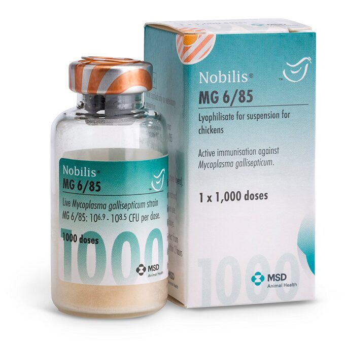 Nobilis MG 6/85 2000 Dz