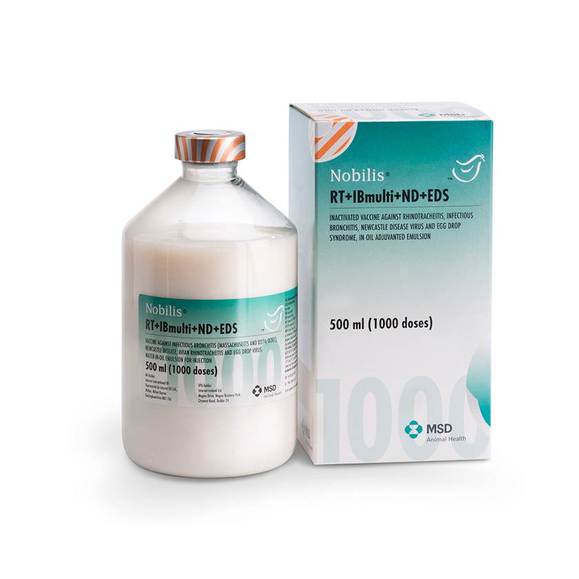 Nobilis RT + IB Multi + ND + EDS 1000 Dz