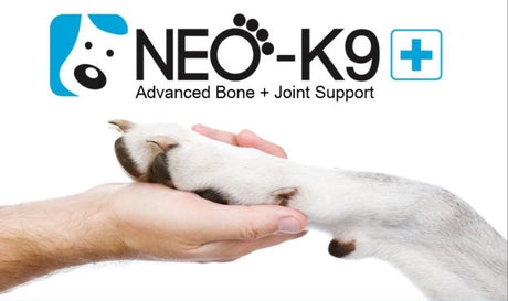 NEO-K9 Inovație Tehnologică în Terapia Ortopedică