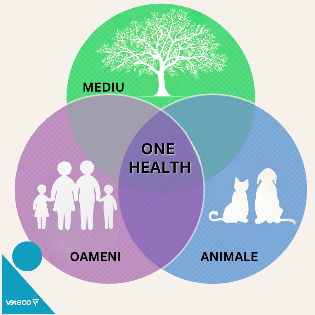 One Health