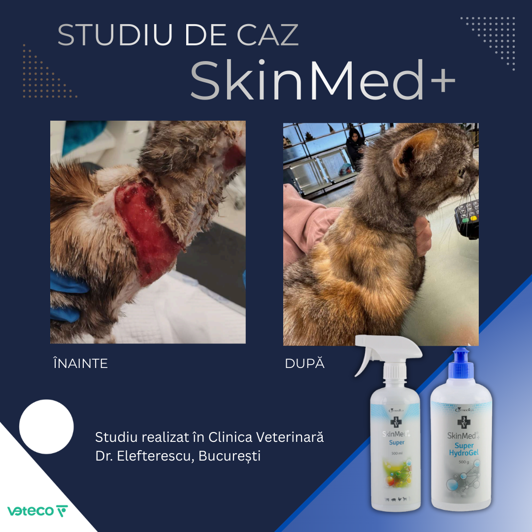 SkinMed+ Studiu de Caz