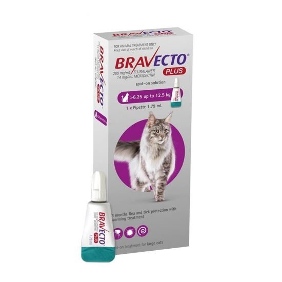 Bravecto Plus for Cat 500 Mg 1 Pipeta