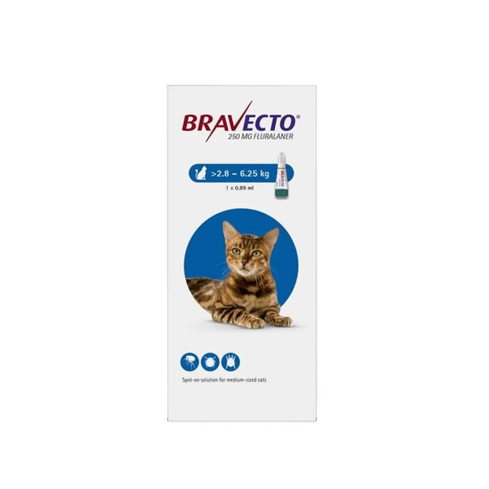 Bravecto Spot On Cat 250 Mg 1 Pipeta