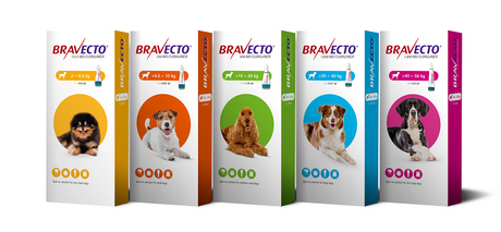Bravecto Spot On Dog 1400 Mg 1 Pipeta